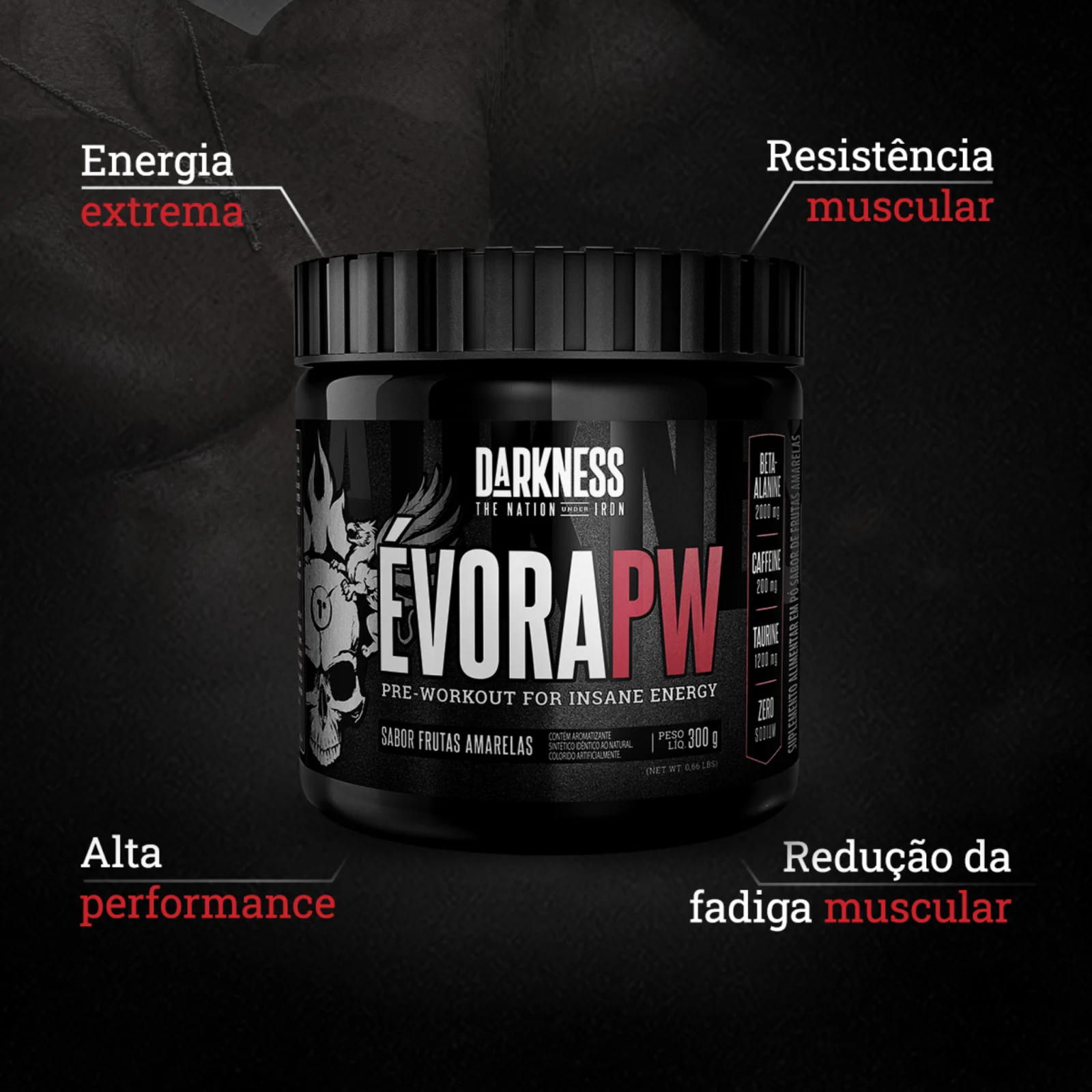 DK EVORA 300G